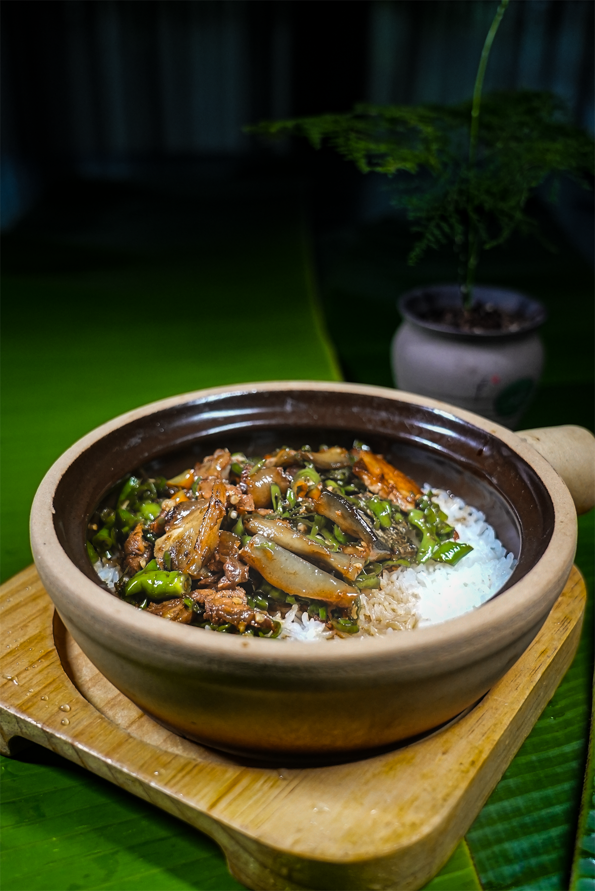 甲鱼盖码饭