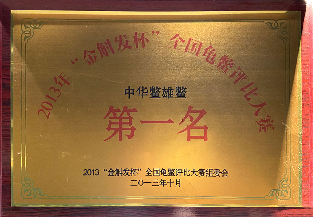 荣誉资质